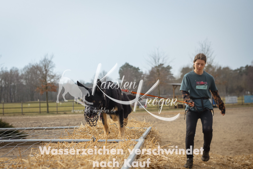 1118_ZZ92819 | kk-dogfotos