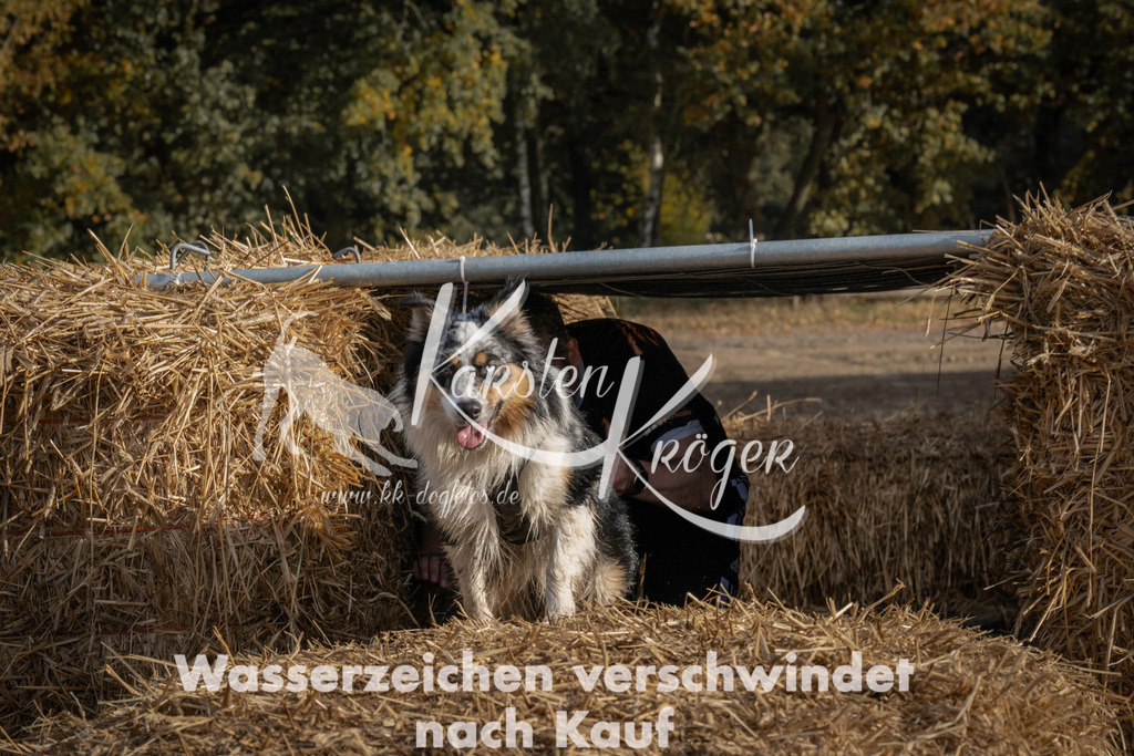 1034_ZZ98775 | kk-dogfotos