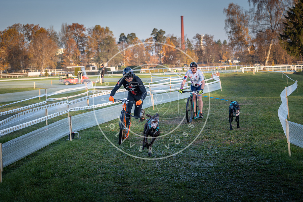 CaniXpix_0L8A1701 | Hundefotografie, Tierfotograf, Pfotenfotografie, Fotoshooting Hund, Hunde Portrait, Hundesport, Hundeportraits, Heideshooting, Hunde, Sportfotograf, Hundefotograf, Turnierhundsport, THS,  - Realisiert mit Pictrs.com