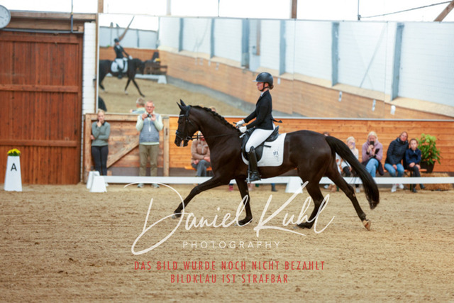 _62_5289 | Turniersportfotografie; Pferdefotografie; Dressurfotografie