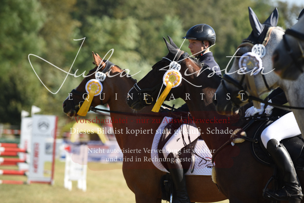 DSC_5449 | Pferde- und Turnierfotografie in Westsachsen. Pferdeportraits, Auftragszeichnungen und intuitive Kunst.