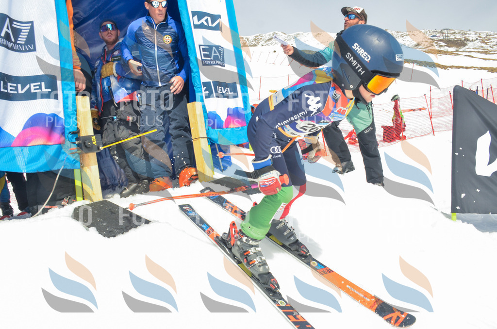 _ELE7719 | holidayphoto