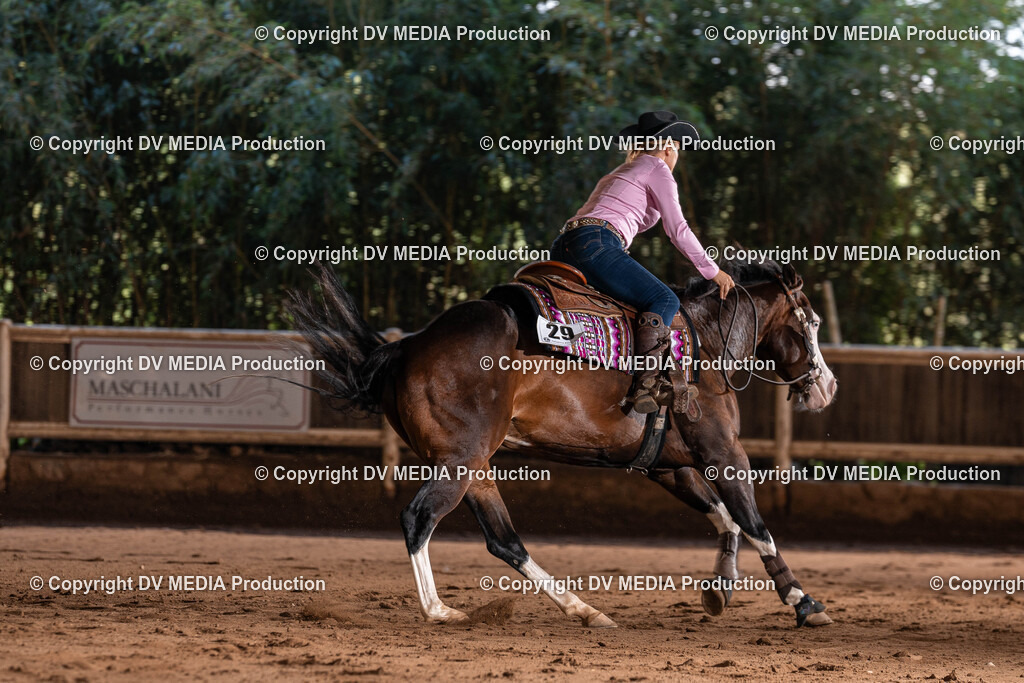 Erbach Tag 2-1076 | dv-media-shop - Realisiert mit Pictrs.com