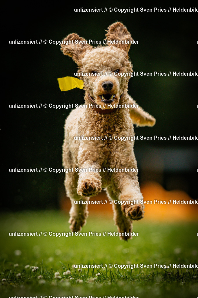 Sven Pries | 2025-05-29 - Pudelrennen KA-Durlach - Realisiert mit Pictrs.com