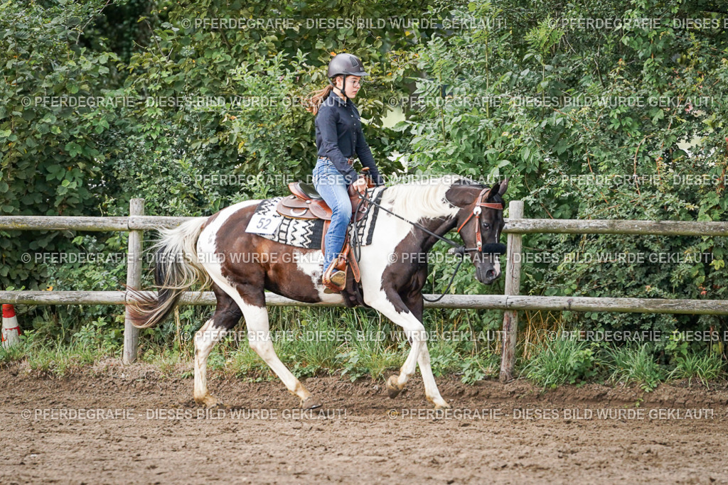 DSC08906 | Pferdegrafie