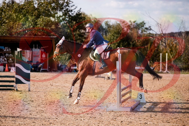 2026_10_03_Siefer-Hof_160627_Z81_88032869 | Professionelle Reitsport-, Turnier- und Eventfotografie von Robert Broda. Galerien mit ausgewählten und bearbeiteten Bildern direkt online ansehen und bestellen.