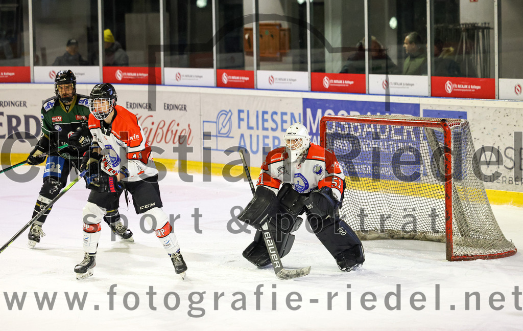 2022-12-02_083_TSV_Erding_gegen_EV_Pegnitz | Erding, Deutschland, 02.12.2022:
Eishockey, Bayernliga 2022 / 2023, 17. Spieltag, TSV Erding gegen EV Pegnitz, Endergebnis: 9:3

Daniel Krzizok (Erding Gladiators, #18), Florian Möll (EV Pegnitz, #41), Torwart Filip Rieger (EV Pegnitz, #51)

Foto: Christian Riedel / fotografie-riedel.net