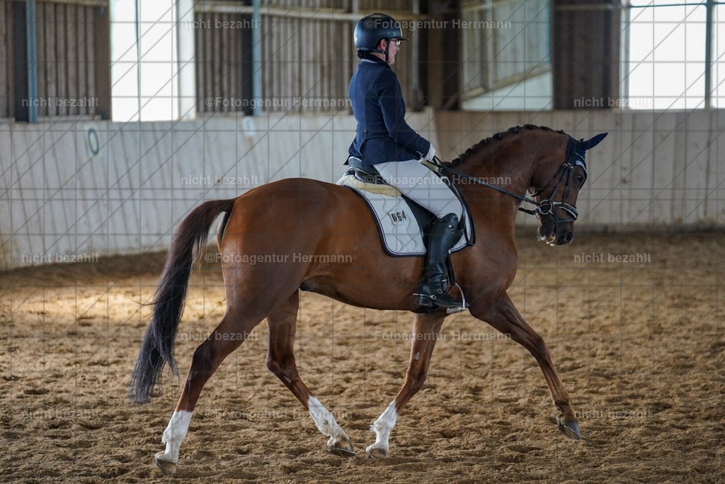 20230520-FAH05707 | Frühjahrsturnier, Landsberg am Lech, 2023, Reitclub Landsberg, Turnierbilder, Fotos Turnier Landsberg, Fotoagentur Herrmann, Turnierfotografen Bayern, Reitsport Fotograf, Pferde Fotograf