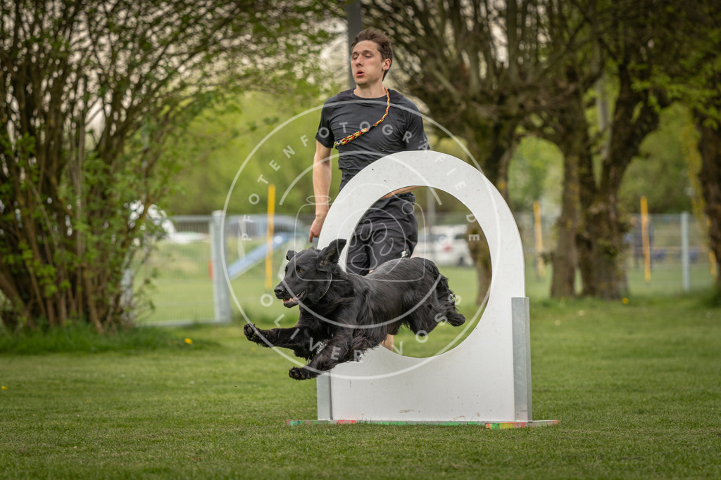 Pfotenfotografie_DV3A1262 | Hundefotografie, Tierfotograf, Pfotenfotografie, Fotoshooting Hund, Hunde Portrait, Hundesport, Hundeportraits, Heideshooting, Hunde, Sportfotograf, Hundefotograf, Turnierhundsport, THS,  - Realisiert mit Pictrs.com