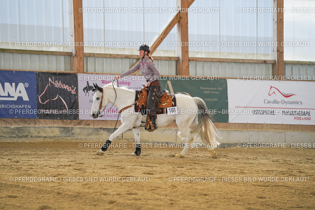 DSC08915 | Pferdegrafie