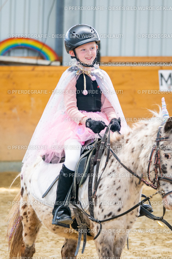 DSC00531 | Pferdegrafie