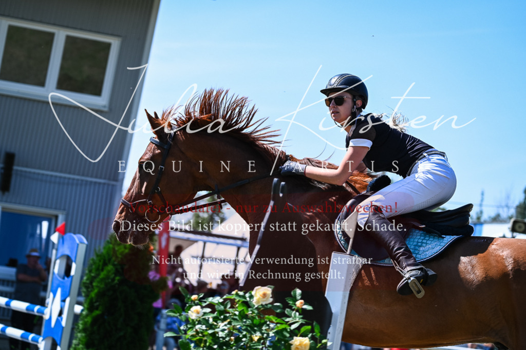 DSC_1263 | Pferde- und Turnierfotografie in Westsachsen. Pferdeportraits, Auftragszeichnungen und intuitive Kunst.
