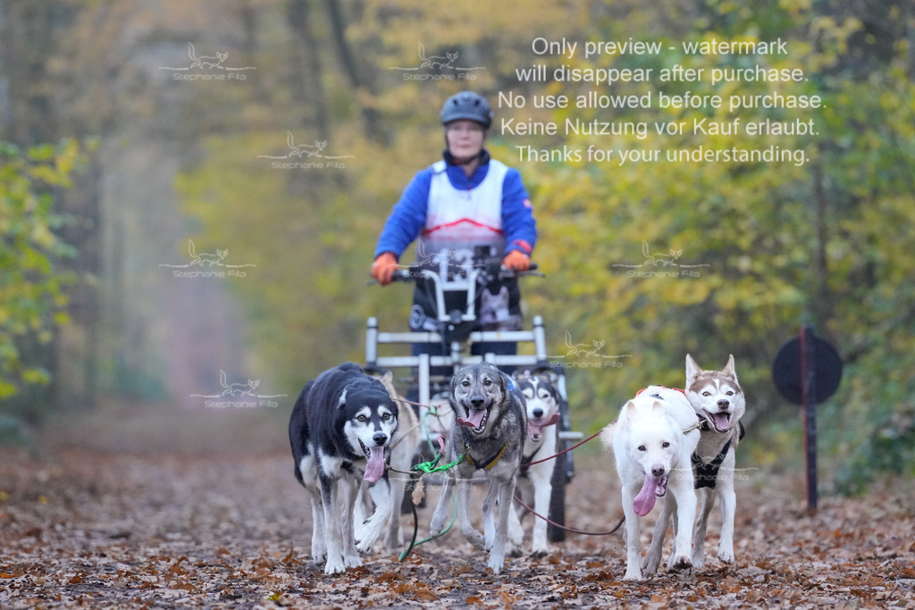 Rigs4bis8So-101 | stephaniefillaphotographie - Realisiert mit Pictrs.com