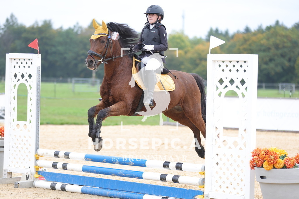 0P6A7618 | Willkommen bei Brunnmayr - Design & Fotografie – Ihrem Spezialisten für Reitturniere und Pferdeveranstaltungen in Oberösterreich, Salzburg und Bayern! Seit über 17 Jahren sind wir leidenschaftlich dabei.