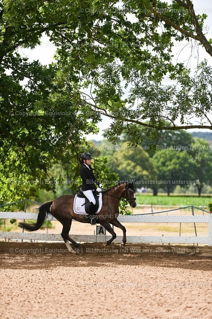 20230716_10-1_Reiter-WB Schritt - Trab - Galopp_0197 | equistock