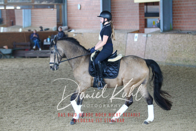 DKP42818 | Turniersportfotografie; Pferdefotografie; Dressurfotografie