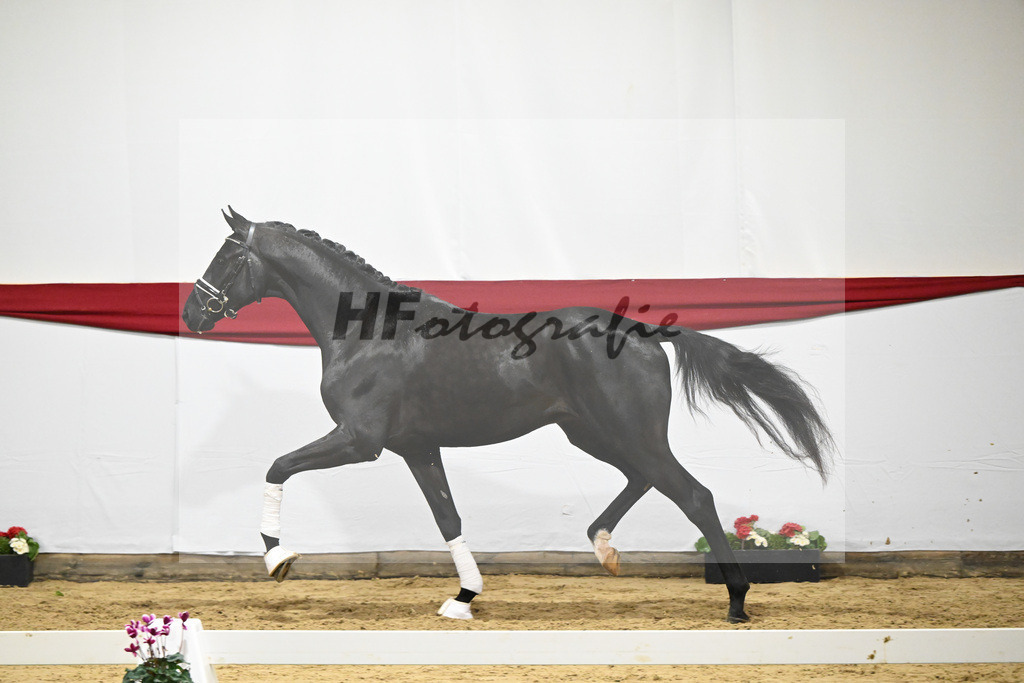 Kat-Nr. 58 v. Donier_Heilemann_63221778 | hf-fotografie - Realizzato con Pictrs.com