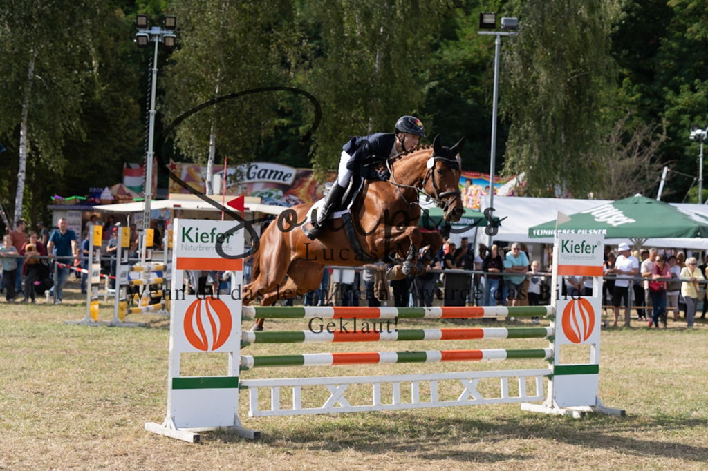 A7V09411 | Pferdefotograf