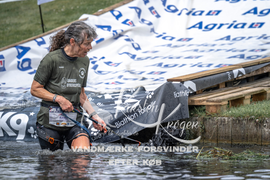 1152_ZZ94106 | kk-dogfotos