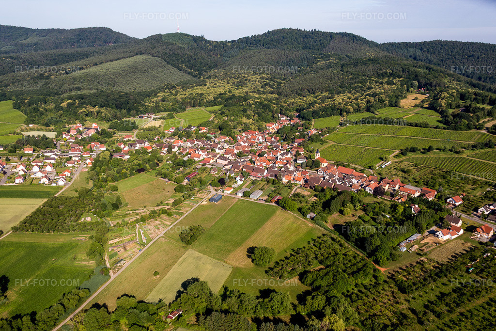 Aerial view: Agricultural fields and arable land in Rott in the state Bas-Rhin, France.Photo: IMG_083004.jpg taken on 06/26/2015 by Werner Riehm/FLY-FOTO.comResolution of the original: 5113 x 3409 px