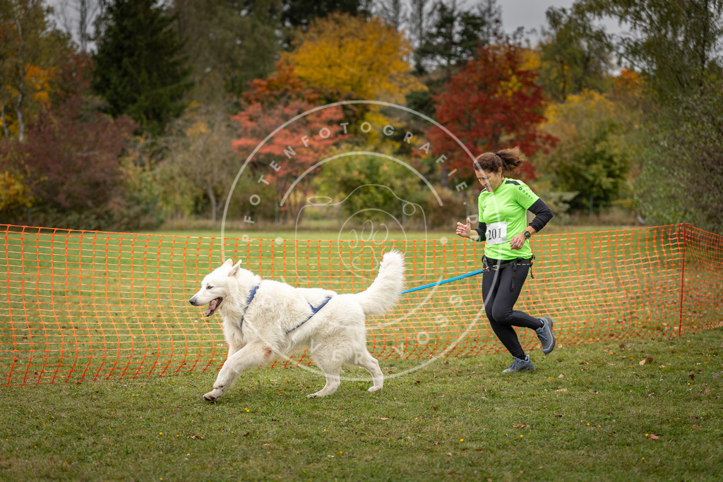 Pfotenfotografie_DV3A4190 | Hundefotografie, Tierfotograf, Pfotenfotografie, Fotoshooting Hund, Hunde Portrait, Hundesport, Hundeportraits, Heideshooting, Hunde, Sportfotograf, Hundefotograf, Turnierhundsport, THS,  - Realisiert mit Pictrs.com