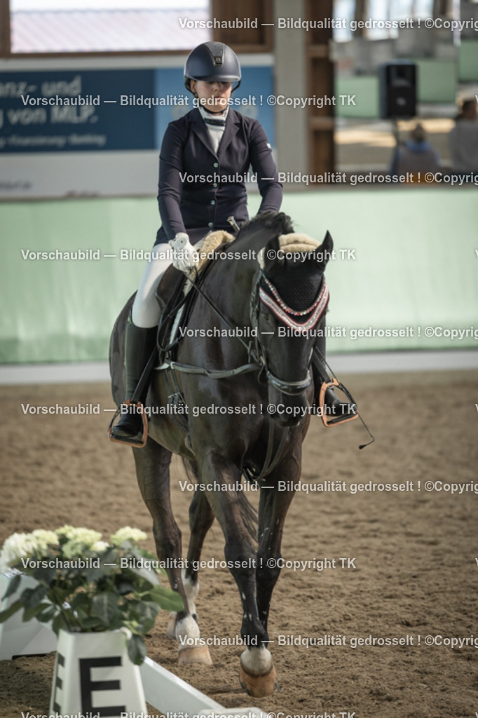 _D5A5793 | Emotionale Pferde- & People-Fotografie rund um Heidelberg, Leimen & Umgebung. Natürliche Fotos von Pferd, Mensch & Familie. Jetzt Termin sichern!