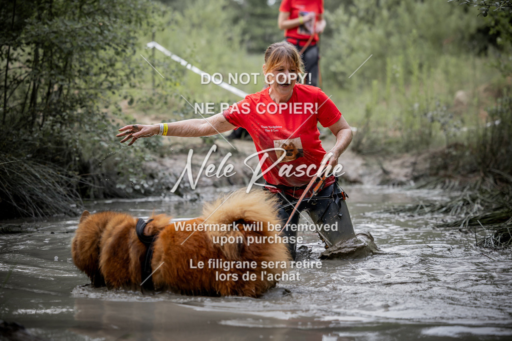 nelerasche_so0800-0930_317 | nelerasche