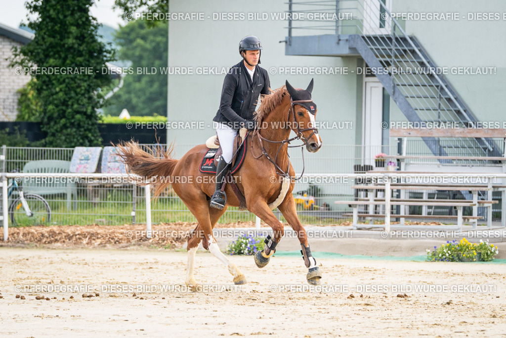 DSC08779 | Pferdegrafie