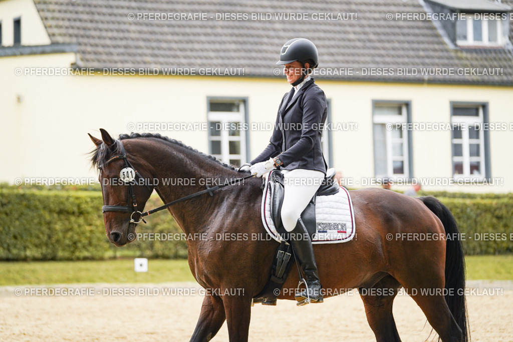 DSC09889 | Pferdegrafie