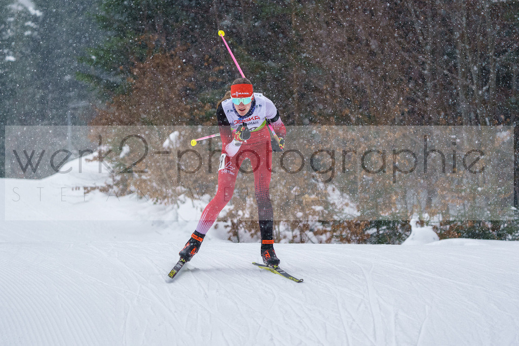 DSC Arber | Bayerischer Wald am 9. bis 12. Februar 2023
