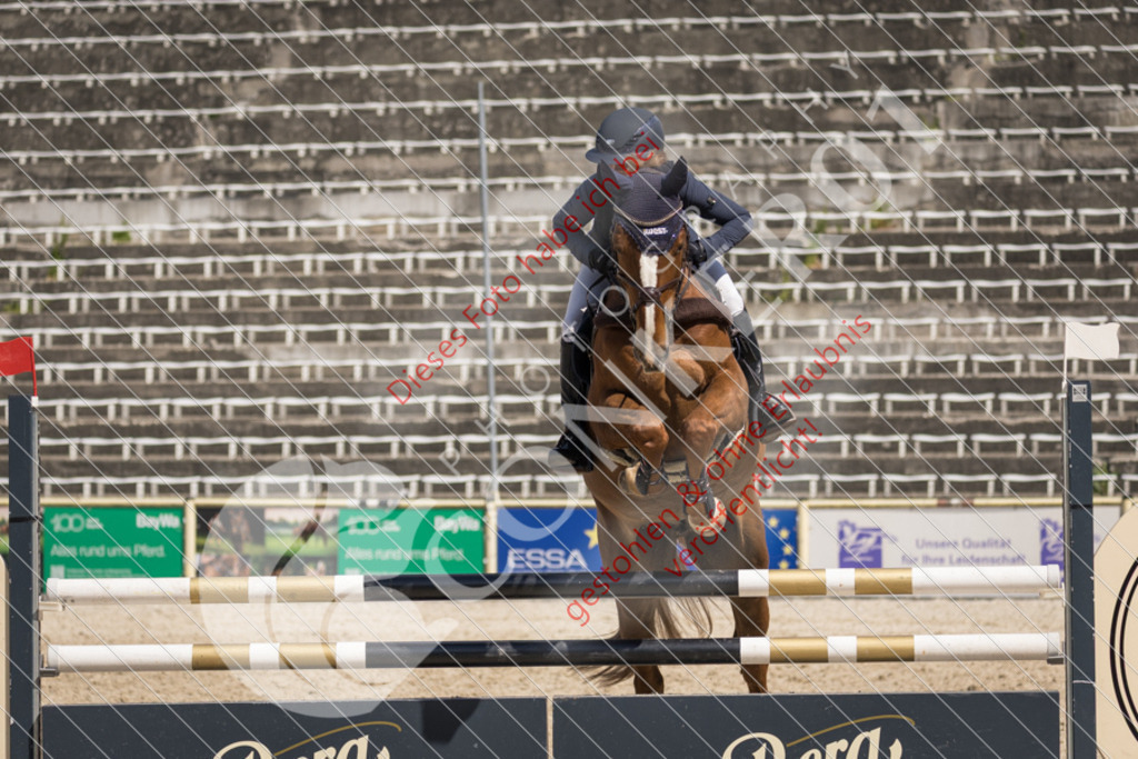 IMG_5356 | Sport-, Event- und Tierfotos in Profiqualität. Einfach auswählen, bestellen und herunterladen. Dein Moment – perfekt festgehalten.