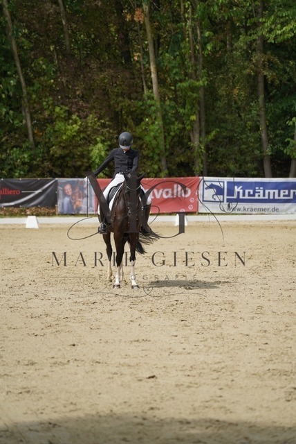 VAN02922 | Marie Giesen Fotografie - Realisiert mit Pictrs.com