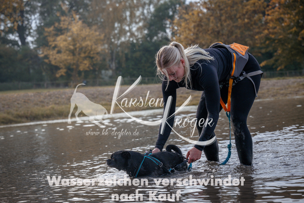 1141_ZZ96169 | kk-dogfotos