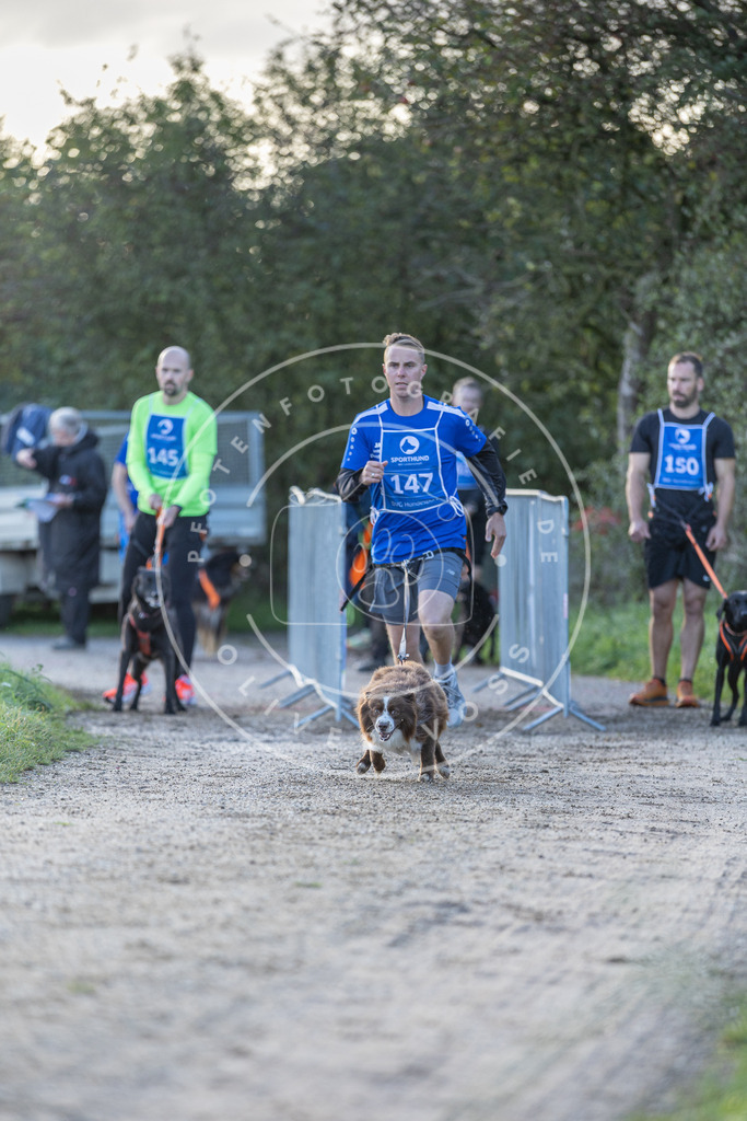 Pfotenfotografie.de_DV3A2763 | Hundefotografie, Tierfotograf, Pfotenfotografie, Fotoshooting Hund, Hunde Portrait, Hundesport, Hundeportraits, Heideshooting, Hunde, Sportfotograf, Hundefotograf, Turnierhundsport, THS, canicross - Realisiert mit Pictrs.com