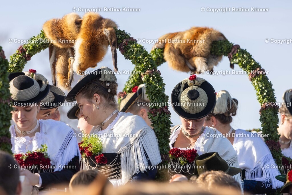 LBT24-1058 | foto-bettina-krinner - Realisiert mit Pictrs.com