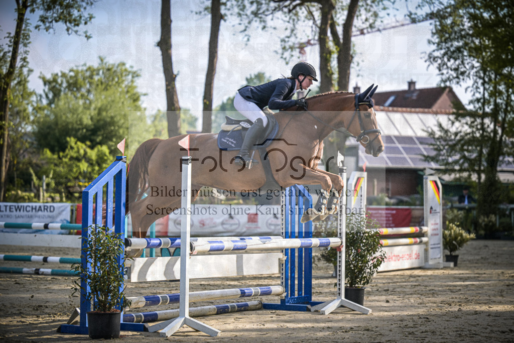 DOS_3954 | Entdecke hochwertige Reitturnierfotos von Foto Oger. Professionell, emotional und authentisch – jetzt Lieblingsmomente im Shop bestellen.Deutschlandweite Turnierfotografie. - Realisiert mit Pictrs.com