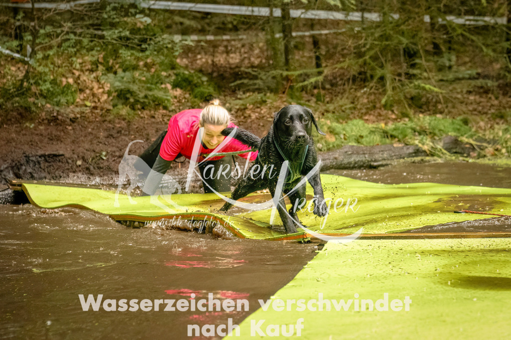 1427_ZZ92499-Bearbeitet | kk-dogfotos