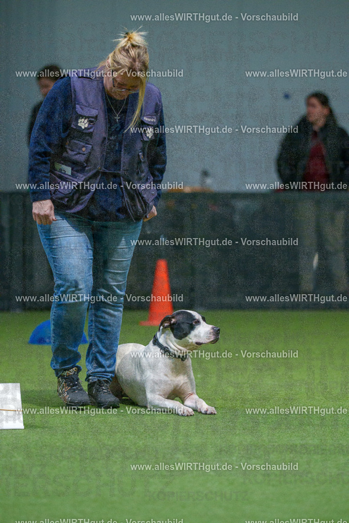 7R507766 | Professionelle Tierfotografie in Mönchengladbach von Daniel Wirth (allesWIRTHgut). Liebevolle & natürliche Bilder von Hunden & Katzen für unvergessliche Erinnerungen.