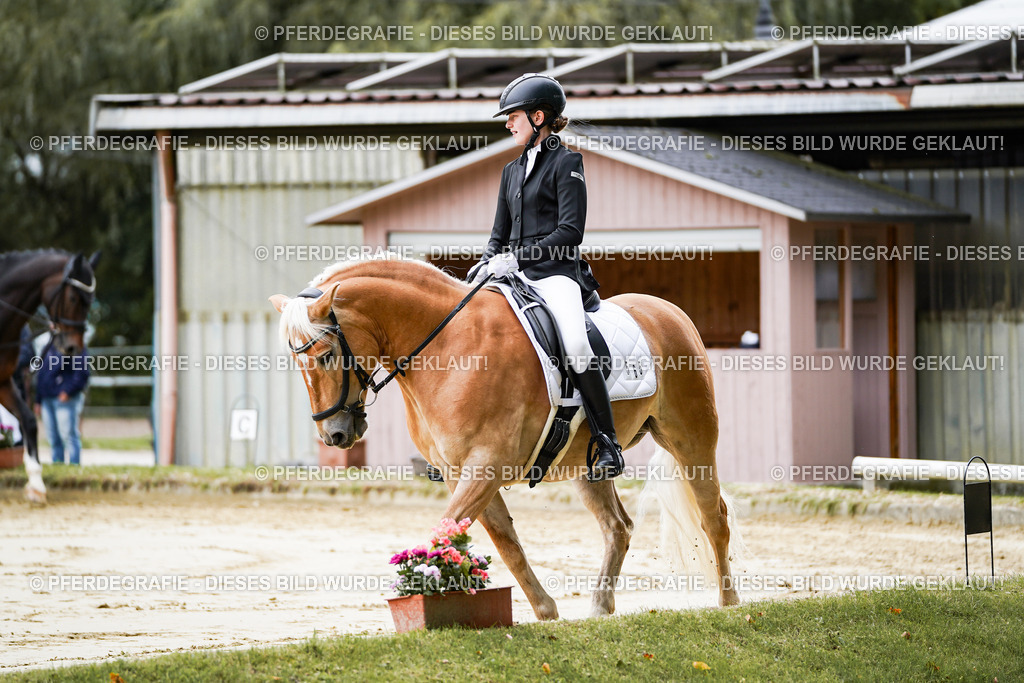 DSC04552 | Pferdegrafie