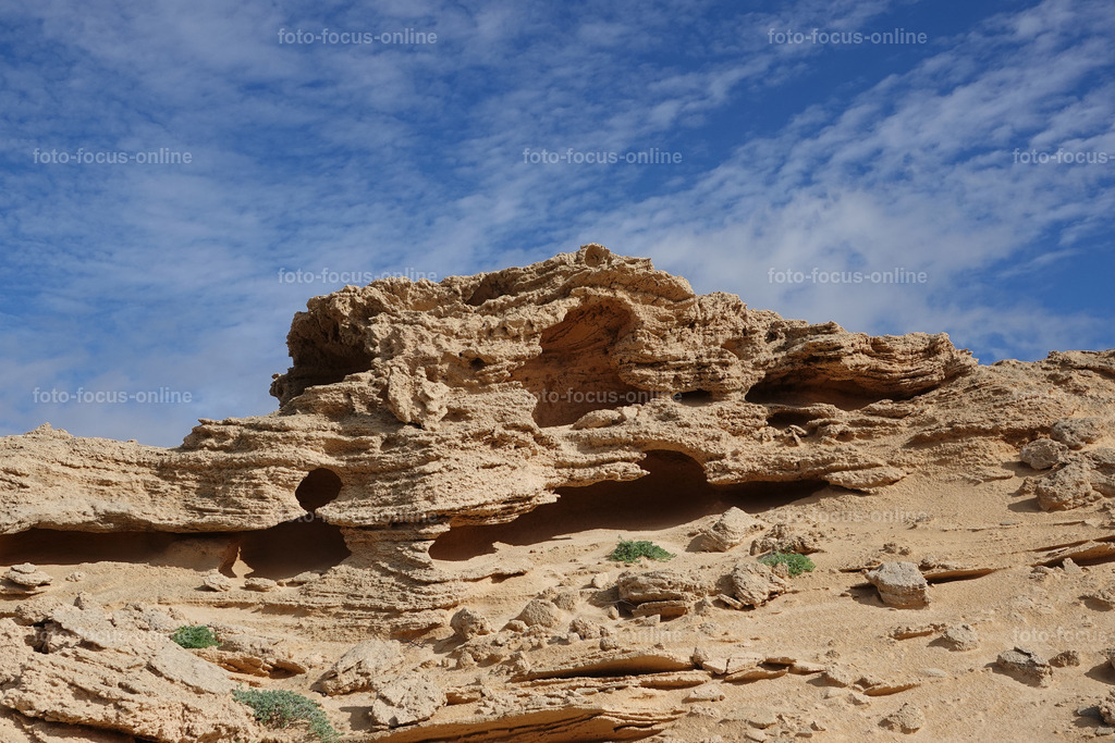Frozen Sand | Frozen sand mountains,Petrified sand,Sandstone desert