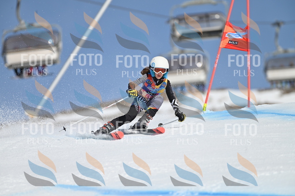 BGV_9095 | holidayphoto