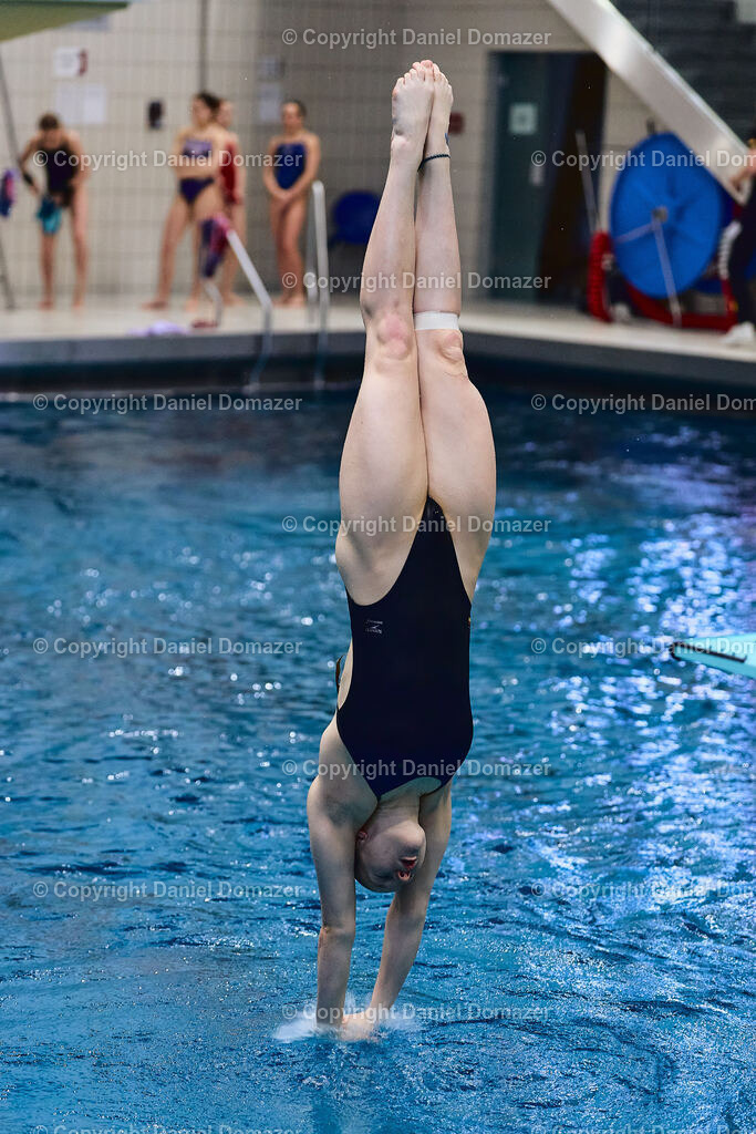 International Youth Diving Meet 2026 | Day 4 of 5 | International Youth Diving Meet 2026| Day 4 of 5 | 25.04.2026 | Youth diving competition featuring 1m and 3m springboard and platform at the Schwimmsportkomplex Freiberger Platz in Dresden.@ Domazer Photography - Realisiert mit Pictrs.com