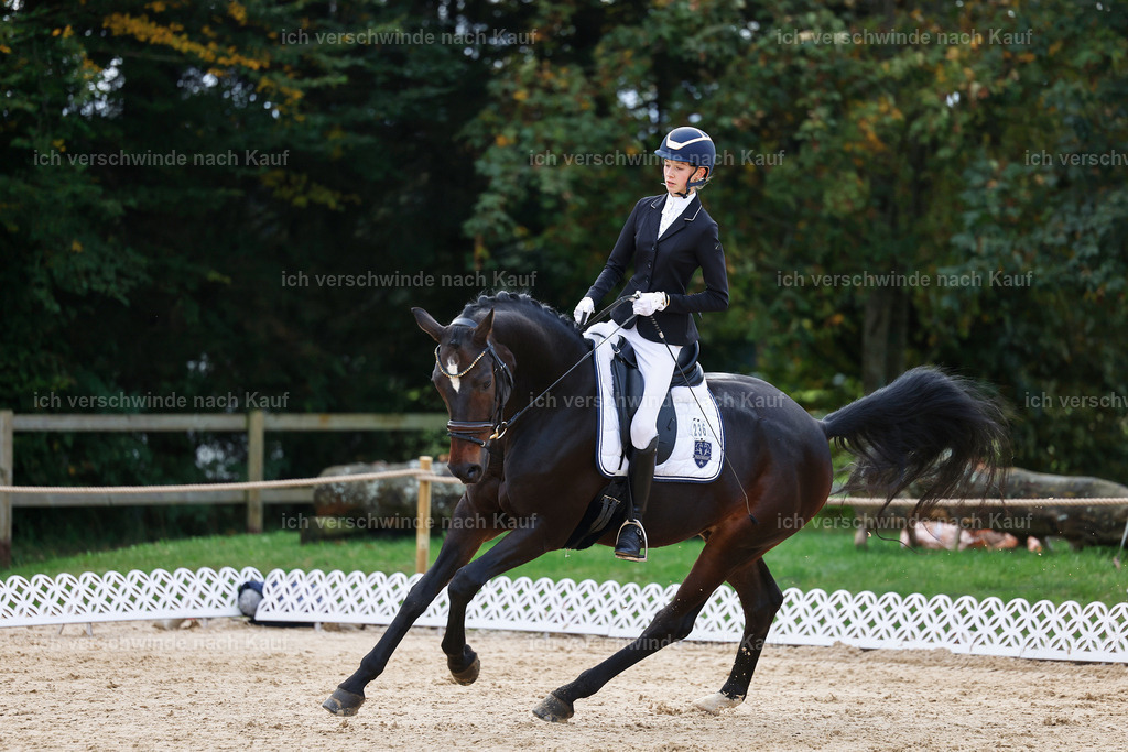 02-236-DRESSUR L_  -StoibPH-4730 | working equitationturnier fotograf videograf stoibphotography marixx film working equitation deutschland reitsport turnierfotografie eventfotografie equestrian events
