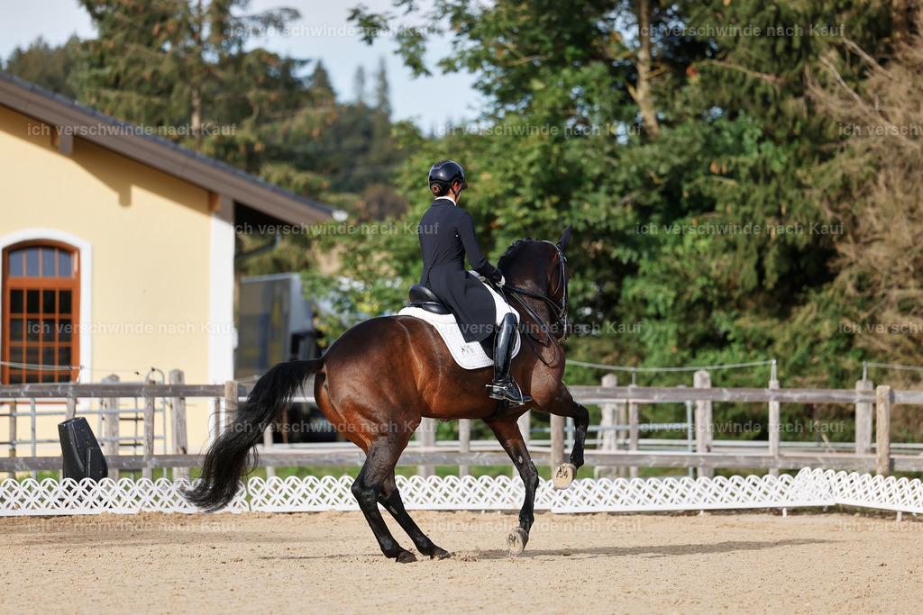 13-110-S___ -StoibPH-6948 | working equitationturnier fotograf videograf stoibphotography marixx film working equitation deutschland reitsport turnierfotografie eventfotografie equestrian events