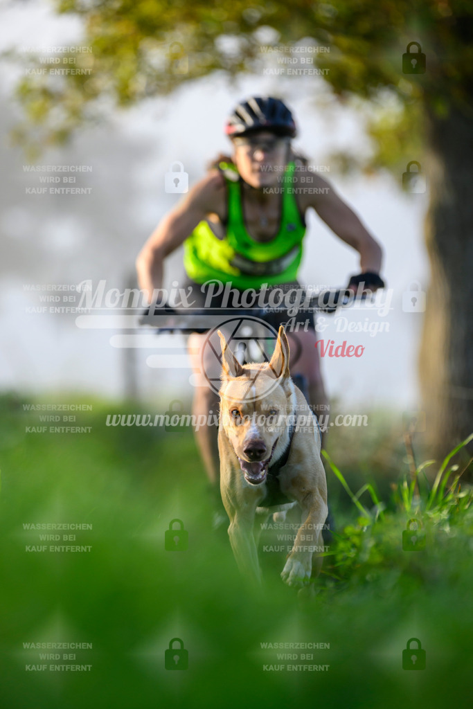 MompixPhotography_20TSB_E3_Bike-74 | PayLife
