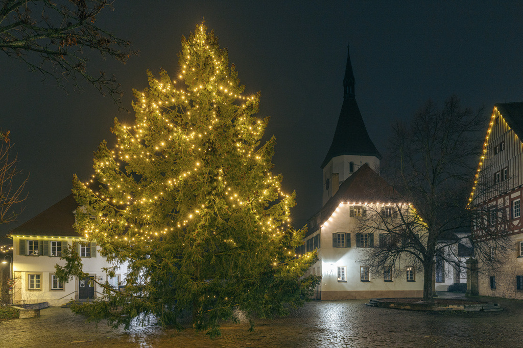 2024-12-12 Hemmingen Weihnachtsbaum 011 | Schwotte Media - Realisiert mit Pictrs.com