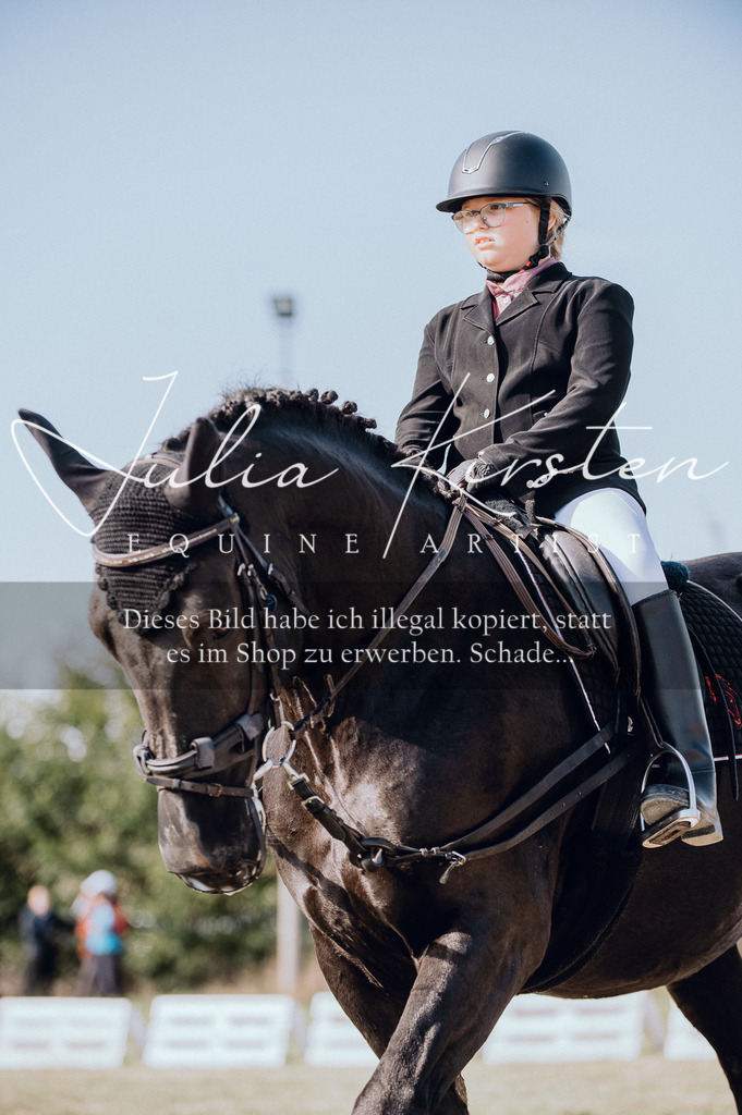 DSC_6969 | Pferde- und Turnierfotografie in Westsachsen. Pferdeportraits, Auftragszeichnungen und intuitive Kunst.