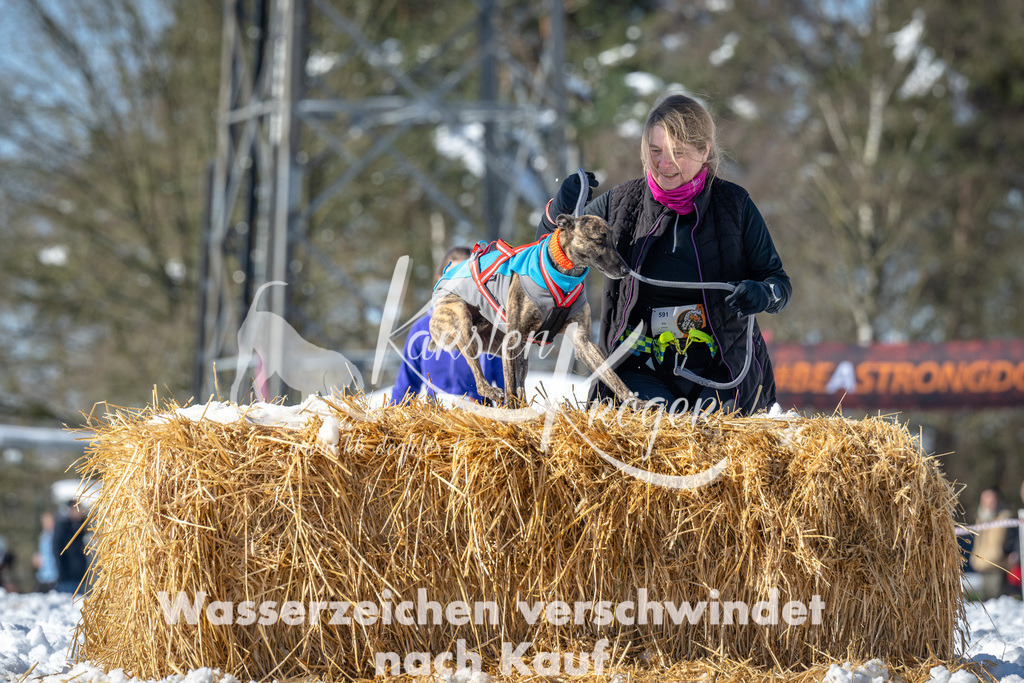 1205_ZZ91926-4 | kk-dogfotos