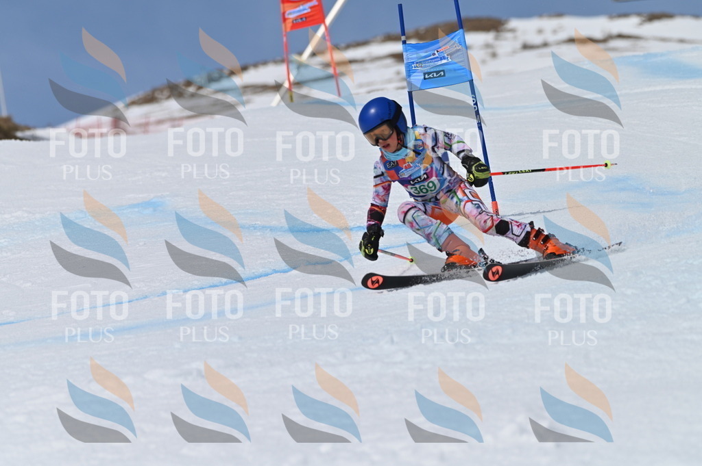 BGV_7304 | holidayphoto