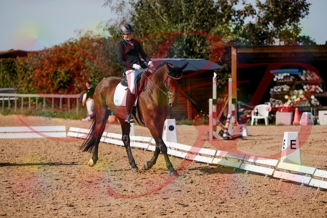 2026_10_03_Siefer-Hof_130419_Z63_66948894 | Professionelle Reitsport-, Turnier- und Eventfotografie von Robert Broda. Galerien mit ausgewählten und bearbeiteten Bildern direkt online ansehen und bestellen.